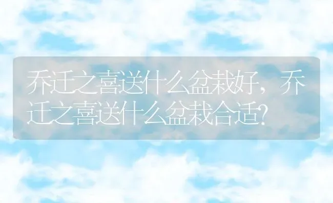 乔迁之喜送什么盆栽好,乔迁之喜送什么盆栽合适？ | 养殖学堂