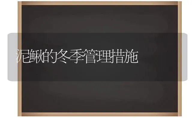 泥鳅的冬季管理措施 | 养殖技术大全