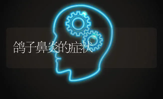 鸽子鼻炎的症状 | 养殖知识