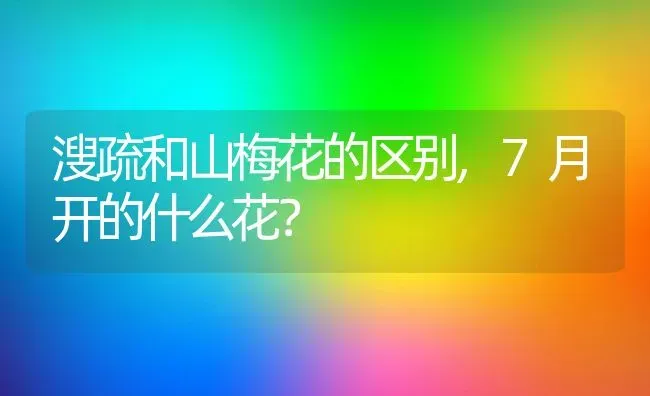 溲疏和山梅花的区别,7月开的什么花？ | 养殖科普