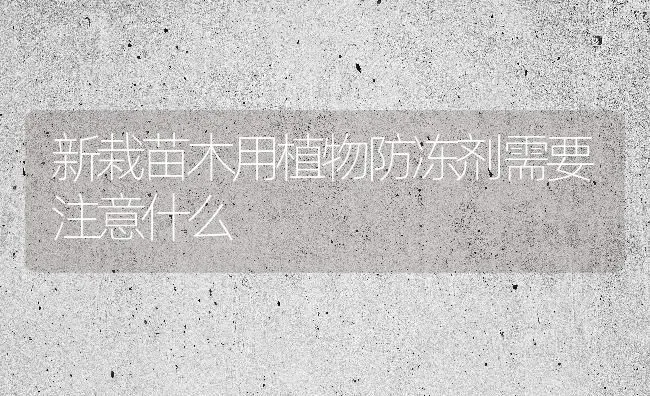 新栽苗木用植物防冻剂需要注意什么 | 养殖技术大全