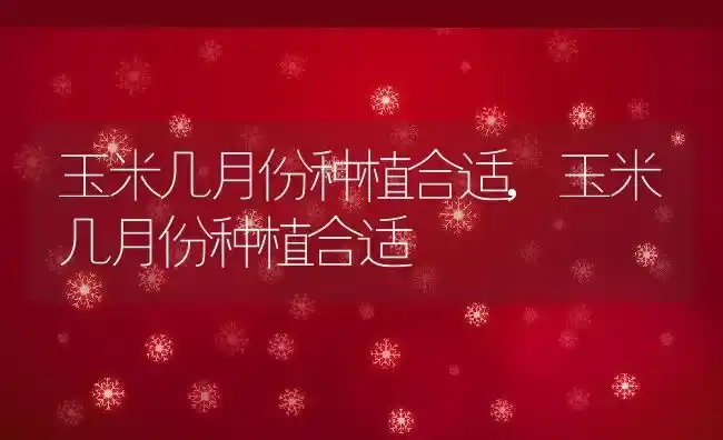 玉米几月份种植合适,玉米几月份种植合适 | 养殖科普