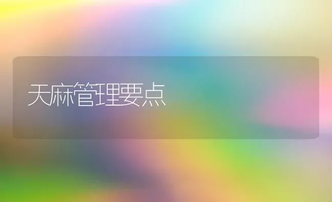 天麻管理要点 | 养殖知识