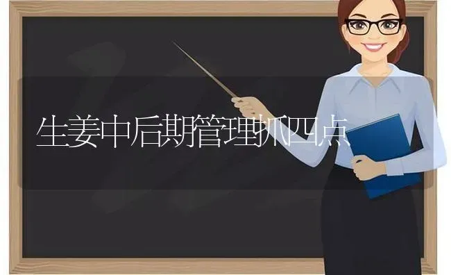 生姜中后期管理抓四点 | 养殖技术大全