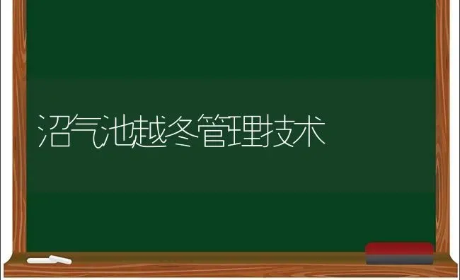 沼气池越冬管理技术 | 养殖技术大全