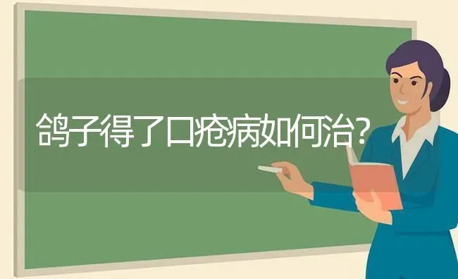 鸽子得了口疮病如何治? | 养殖技术大全