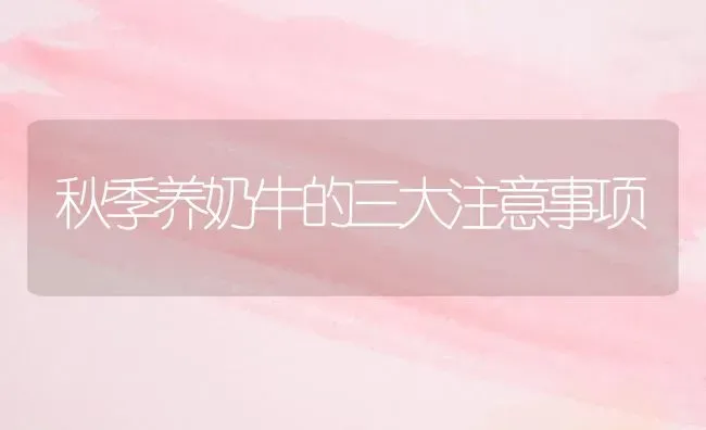 秋季养奶牛的三大注意事项 | 养殖技术大全