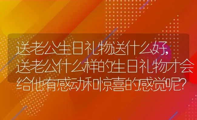 送老公生日礼物送什么好,送老公什么样的生日礼物才会给他有感动和惊喜的感觉呢？ | 养殖学堂