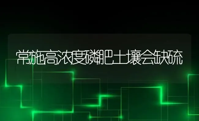 常施高浓度磷肥土壤会缺硫 | 养殖技术大全