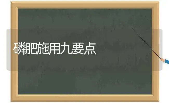 磷肥施用九要点 | 养殖技术大全