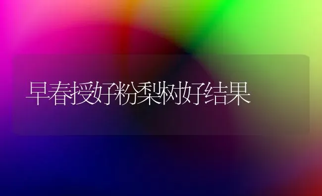 干湿交替白粉病一定要早防 | 养殖技术大全