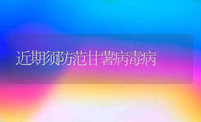 近期须防范甘薯病毒病 | 养殖技术大全