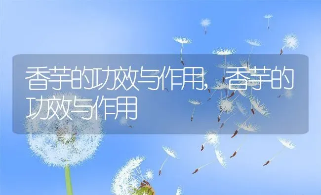 香芋的功效与作用,香芋的功效与作用 | 养殖科普