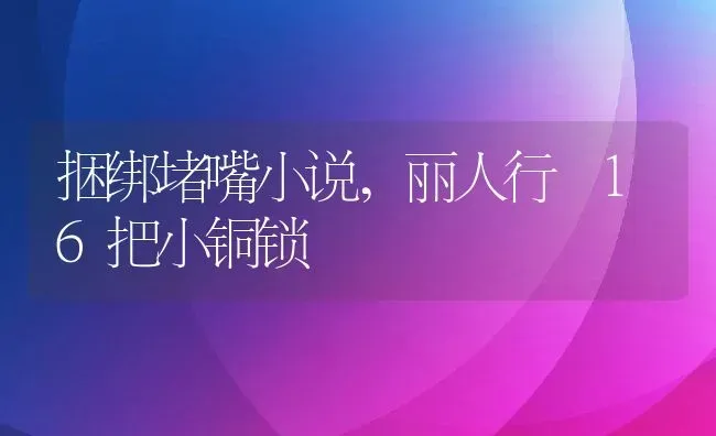 捆绑堵嘴小说,丽人行 16把小铜锁 | 养殖资料
