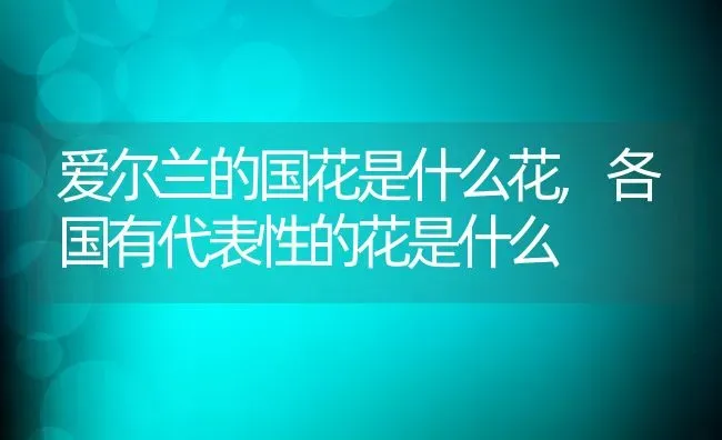 爱尔兰的国花是什么花,各国有代表性的花是什么 | 养殖学堂