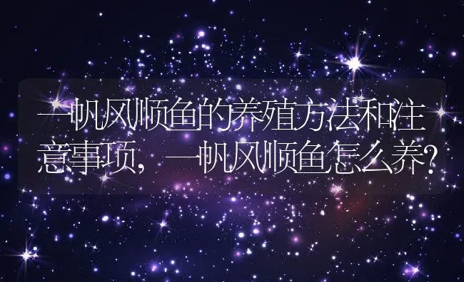 一帆风顺鱼的养殖方法和注意事项,一帆风顺鱼怎么养？ | 养殖科普