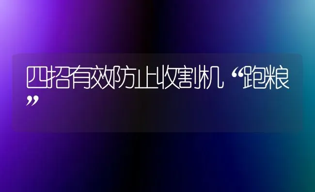 四招有效防止收割机“跑粮” | 养殖技术大全