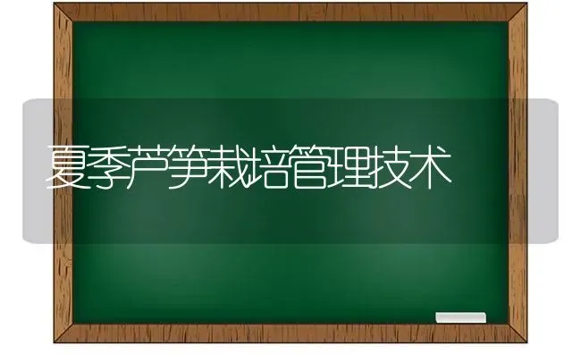 夏季芦笋栽培管理技术 | 养殖知识