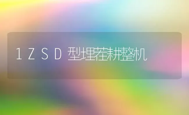 1ZSD型埋茬耕整机 | 养殖知识