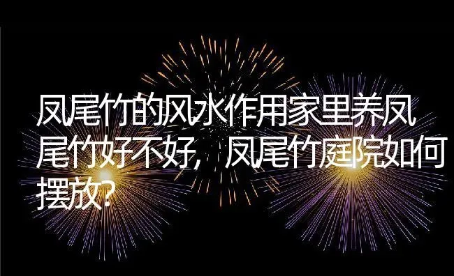 凤尾竹的风水作用家里养凤尾竹好不好,凤尾竹庭院如何摆放？ | 养殖科普