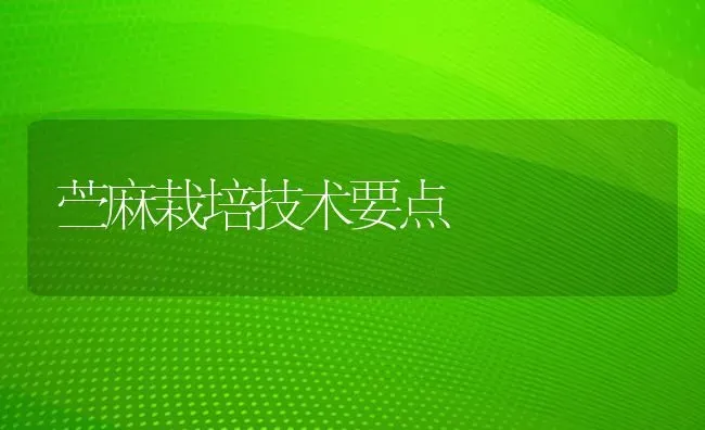 苎麻栽培技术要点 | 养殖技术大全