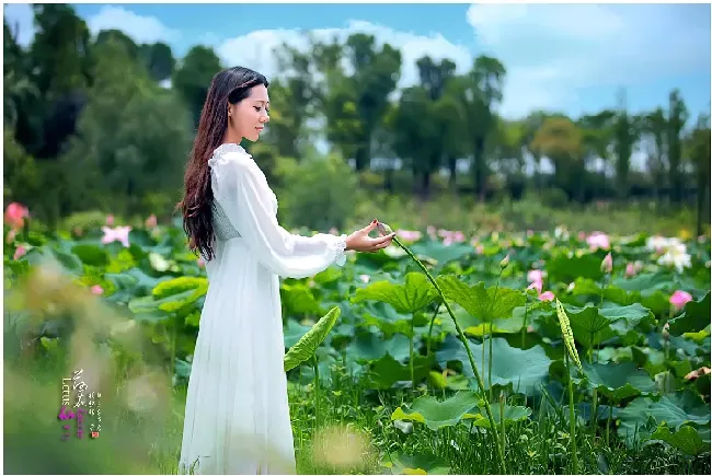 荷花仙子是哪位神仙,荷花仙子纹身寓意？