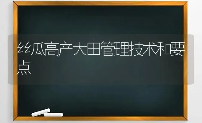 丝瓜高产大田管理技术和要点 | 养殖技术大全