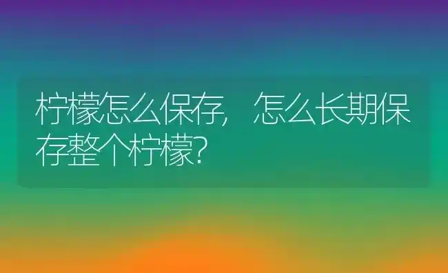 柠檬怎么保存,怎么长期保存整个柠檬？ | 养殖科普