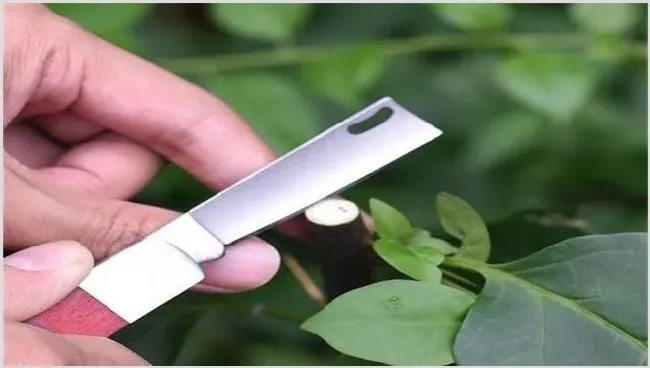 果树嫁接时间与方法 | 生活妙招