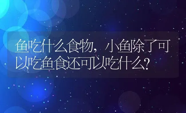 鱼吃什么食物,小鱼除了可以吃鱼食还可以吃什么？ | 养殖学堂
