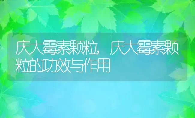 庆大霉素颗粒,庆大霉素颗粒的功效与作用 | 养殖资料