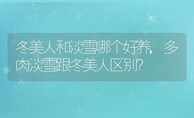 冬美人和淡雪哪个好养,多肉淡雪跟冬美人区别？ | 养殖学堂