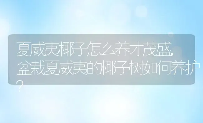 夏威夷椰子怎么养才茂盛,盆栽夏威夷的椰子树如何养护？ | 养殖科普