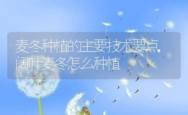 麦冬种植的主要技术要点,阔叶麦冬怎么种植 | 养殖学堂