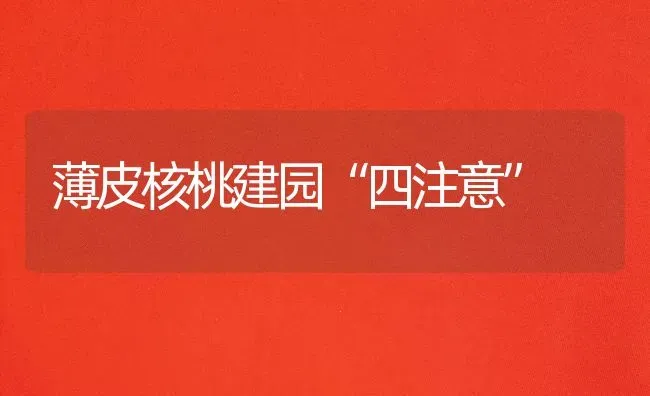 薄皮核桃建园“四注意” | 养殖技术大全