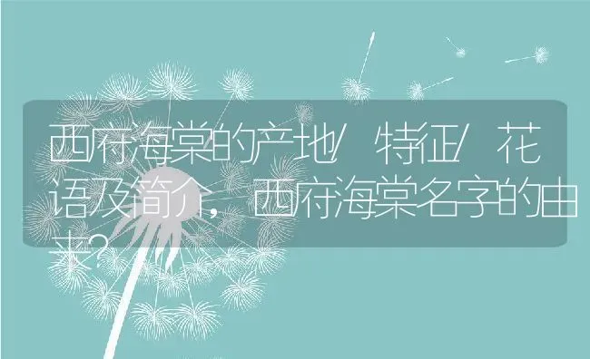 西府海棠的产地/特征/花语及简介,西府海棠名字的由来？ | 养殖科普