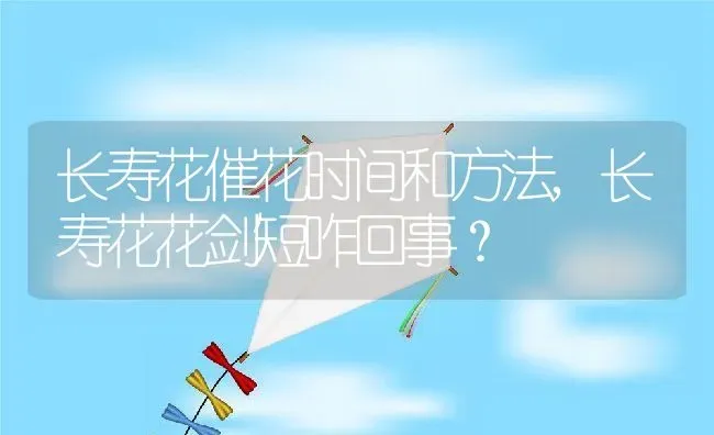 长寿花催花时间和方法,长寿花花剑短咋回事？ | 养殖科普