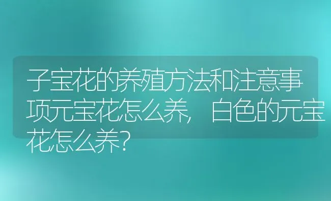 子宝花的养殖方法和注意事项元宝花怎么养,白色的元宝花怎么养？ | 养殖科普