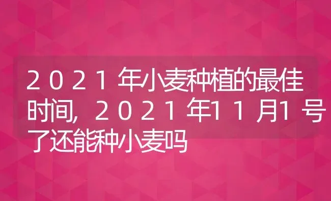 2021年小麦种植的最佳时间,2021年11月1号了还能种小麦吗 | 养殖学堂