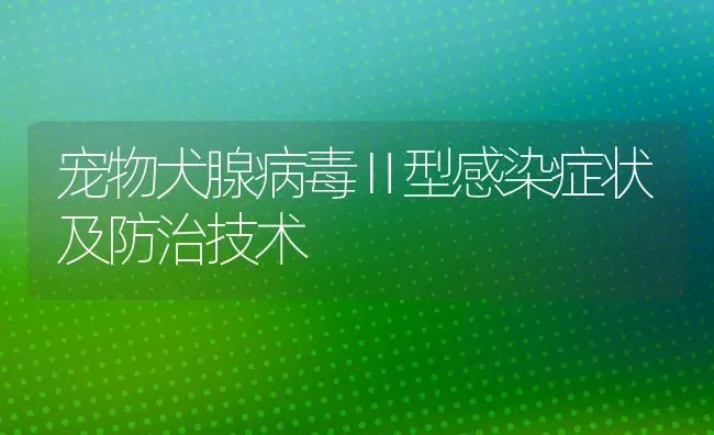 宠物犬腺病毒Ⅱ型感染症状及防治技术 | 养殖知识