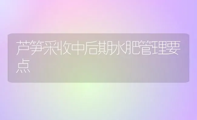 芦笋采收中后期水肥管理要点 | 养殖知识