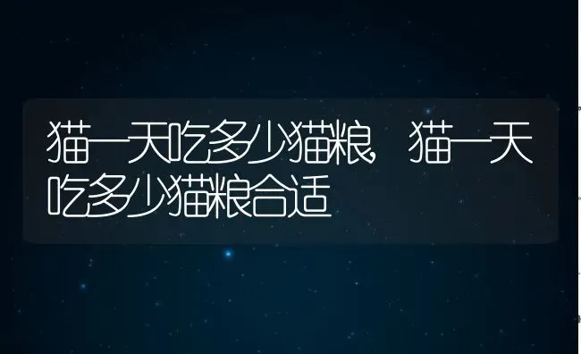 猫一天吃多少猫粮,猫一天吃多少猫粮合适 | 养殖科普