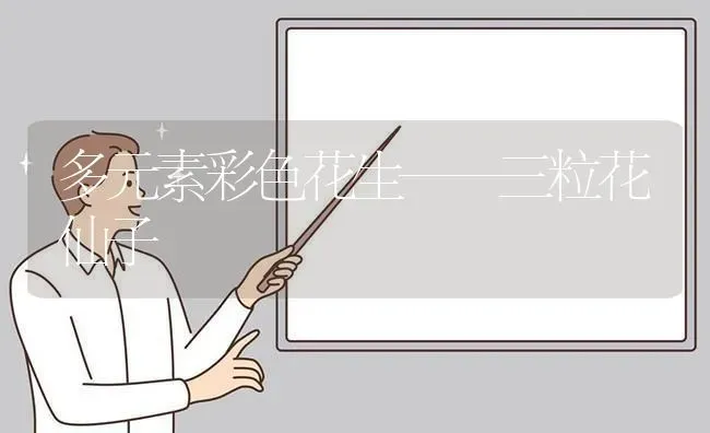 多元素彩色花生——三粒花仙子 | 养殖技术大全