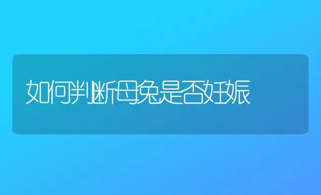 暴雨过后 猕猴桃园要防这些病害 | 养殖技术大全