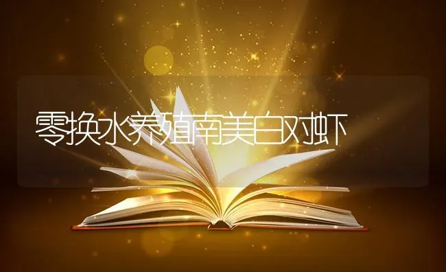 零换水养殖南美白对虾 | 养殖知识