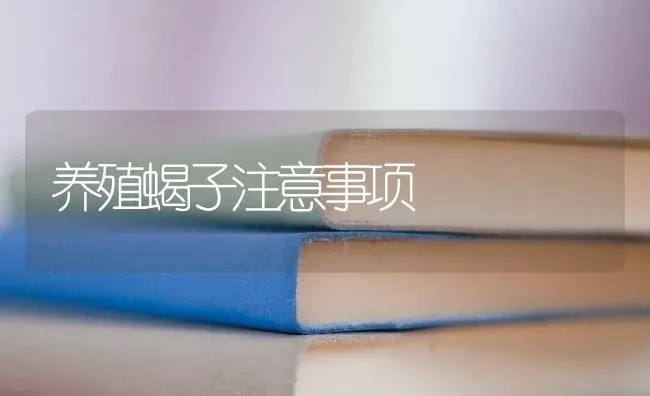 养殖蝎子注意事项 | 养殖技术大全