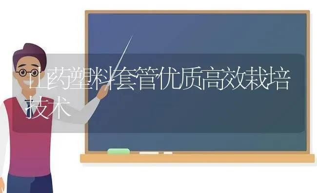 山药塑料套管优质高效栽培技术 | 养殖技术大全