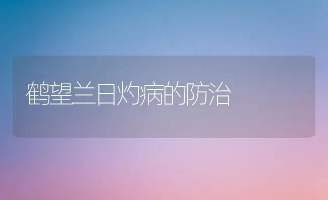 鹤望兰日灼病的防治 | 养殖知识