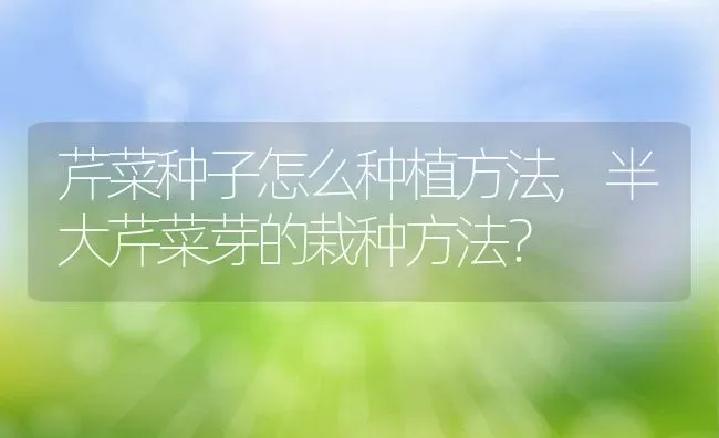 芹菜种子怎么种植方法,半大芹菜芽的栽种方法？ | 养殖学堂