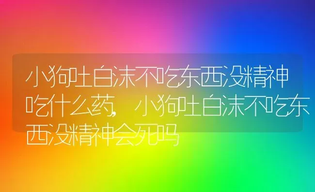 小狗吐白沫不吃东西没精神吃什么药,小狗吐白沫不吃东西没精神会死吗 | 养殖科普